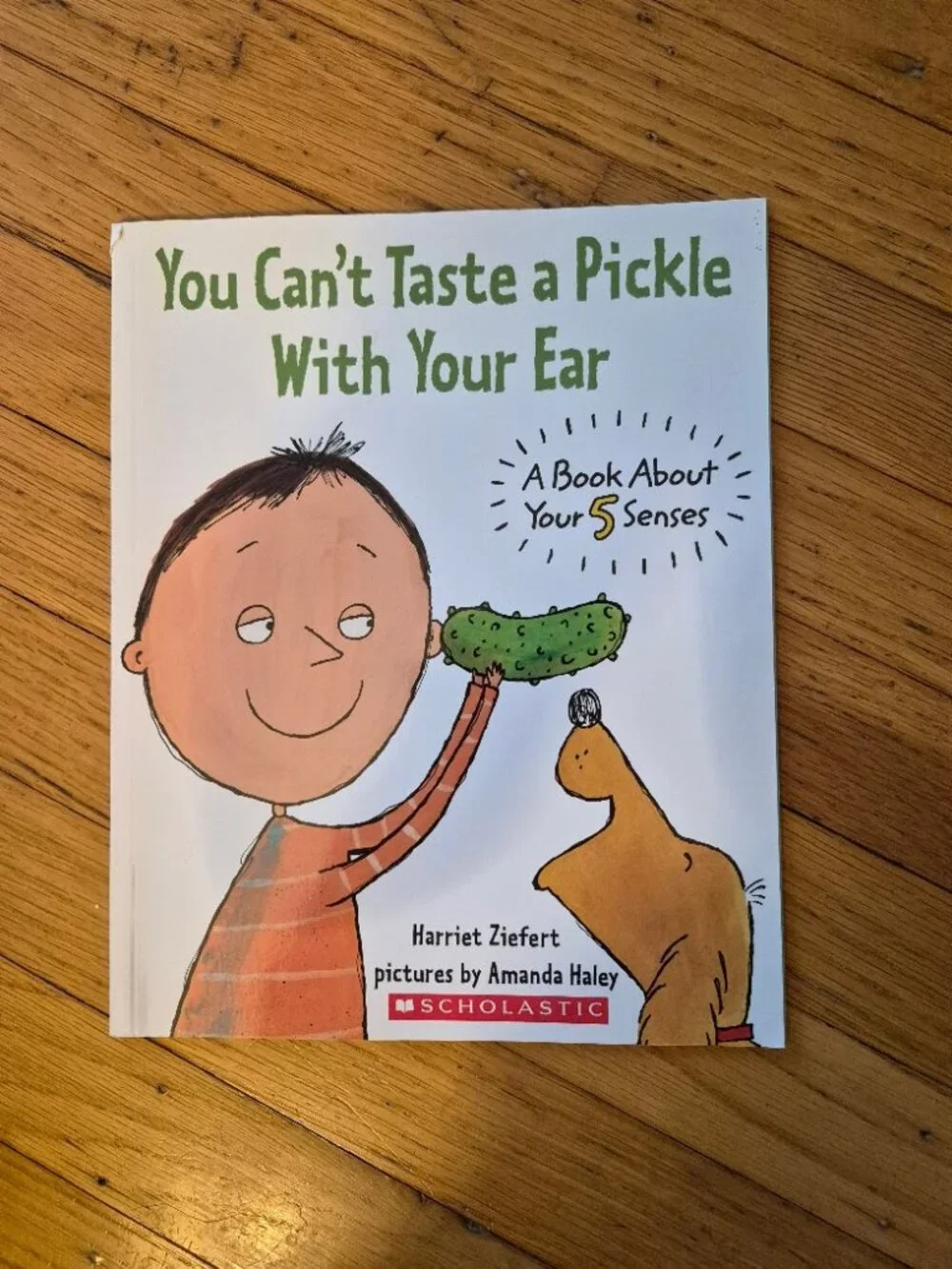 You Can't TAste A Pickle With Your Ear
